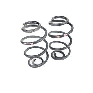 Pair Rear Springs Suit Z11 Cube