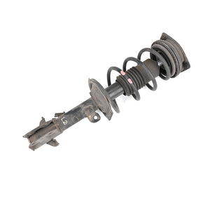 Passenger Side Front Strut Suit Z11 Cube