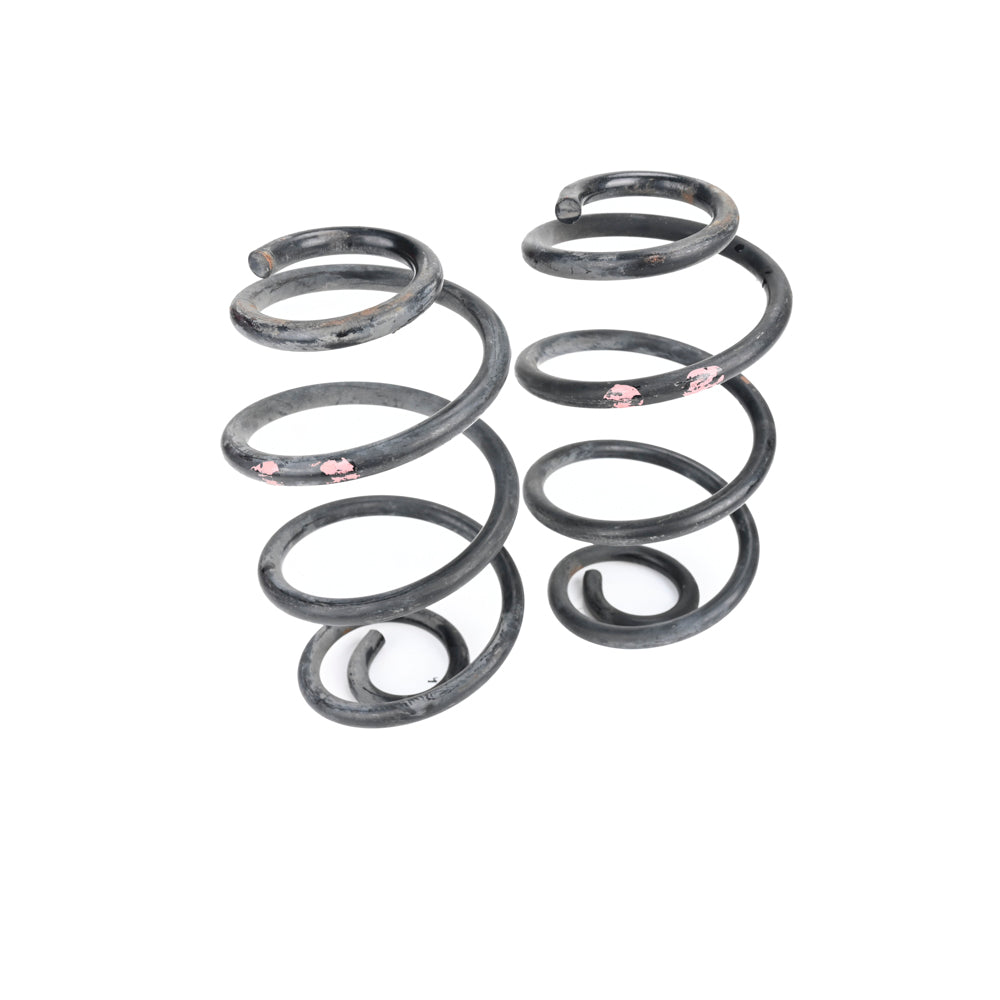 Pair Rear Springs Suit Z11 Cube