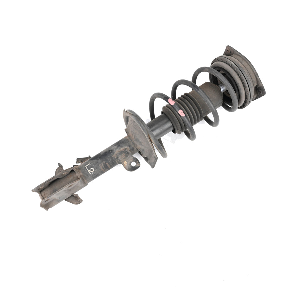 Passenger Side Front Strut Suit Z11 Cube
